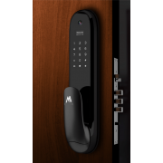 Входная дверь (толщина 80 мм) с биометрическим Push-Pull  RFID замком  DOORLOCKS -109